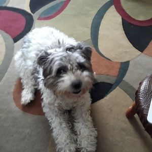 Meet your Posher, Catherine